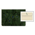 Feathers Small Boxed Everyday Note Cards